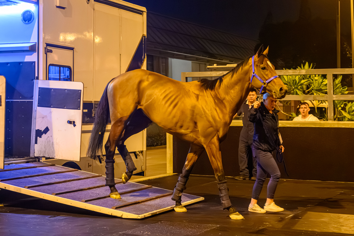 浪琴香港國際賽事歐洲代表抵港圖輯 – 賽馬新聞 – 香港賽馬會