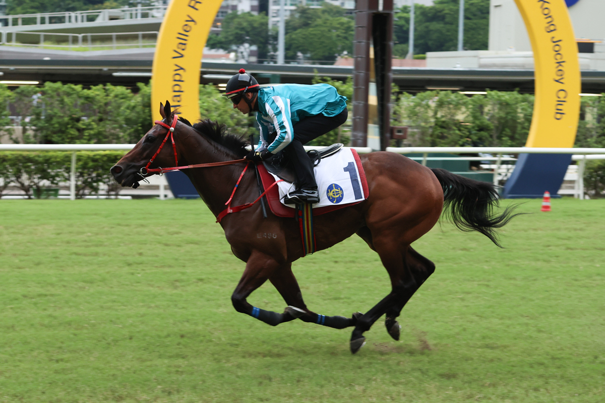 「浪漫勇士」谷草試閘以首名衝線姿態輕鬆 – 賽馬新聞 – 香港賽馬會