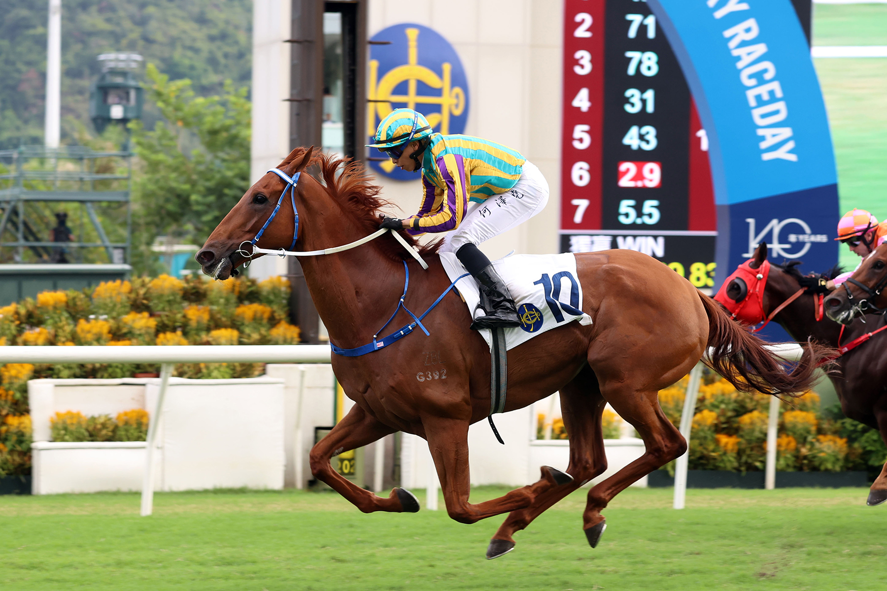 香港賽馬會140週年紀念盃圖輯 – 賽馬新聞 – 香港賽馬會