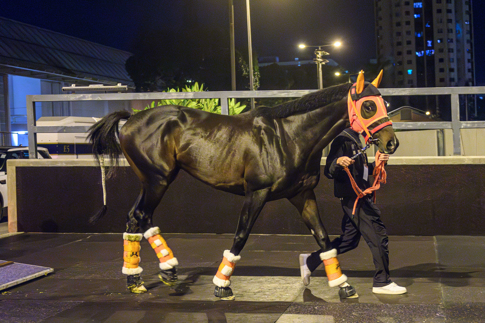 浪琴香港國際賽事日本代表抵港圖輯