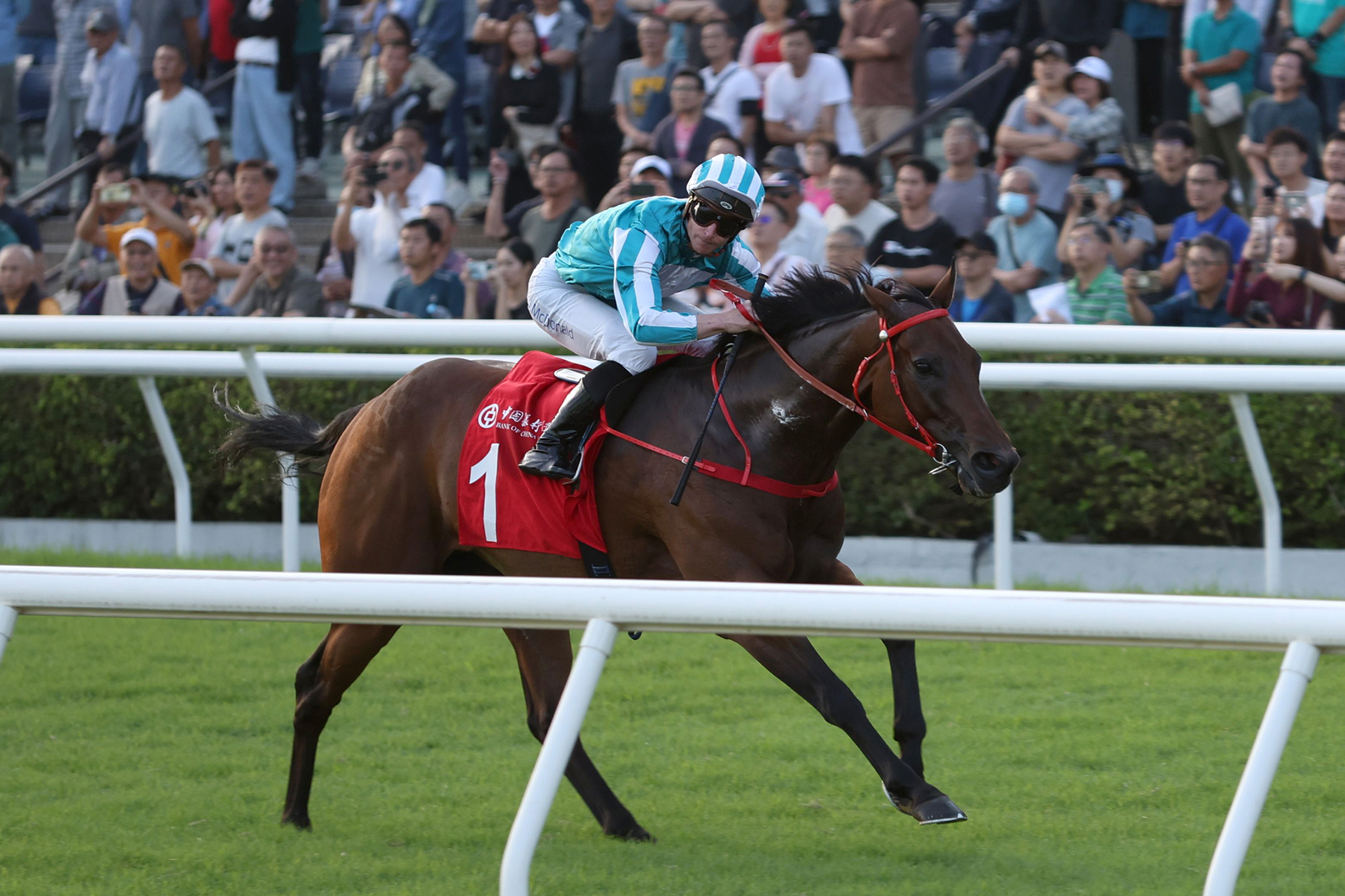 中銀香港馬會盃圖輯 – 賽馬新聞 – 香港賽馬會