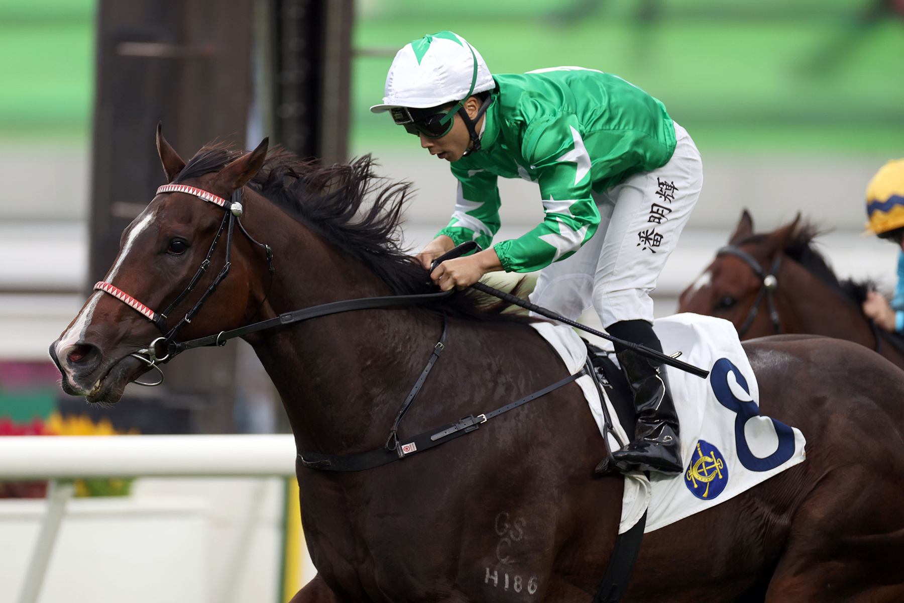 樂聲盃圖輯 – 賽馬新聞 – 香港賽馬會