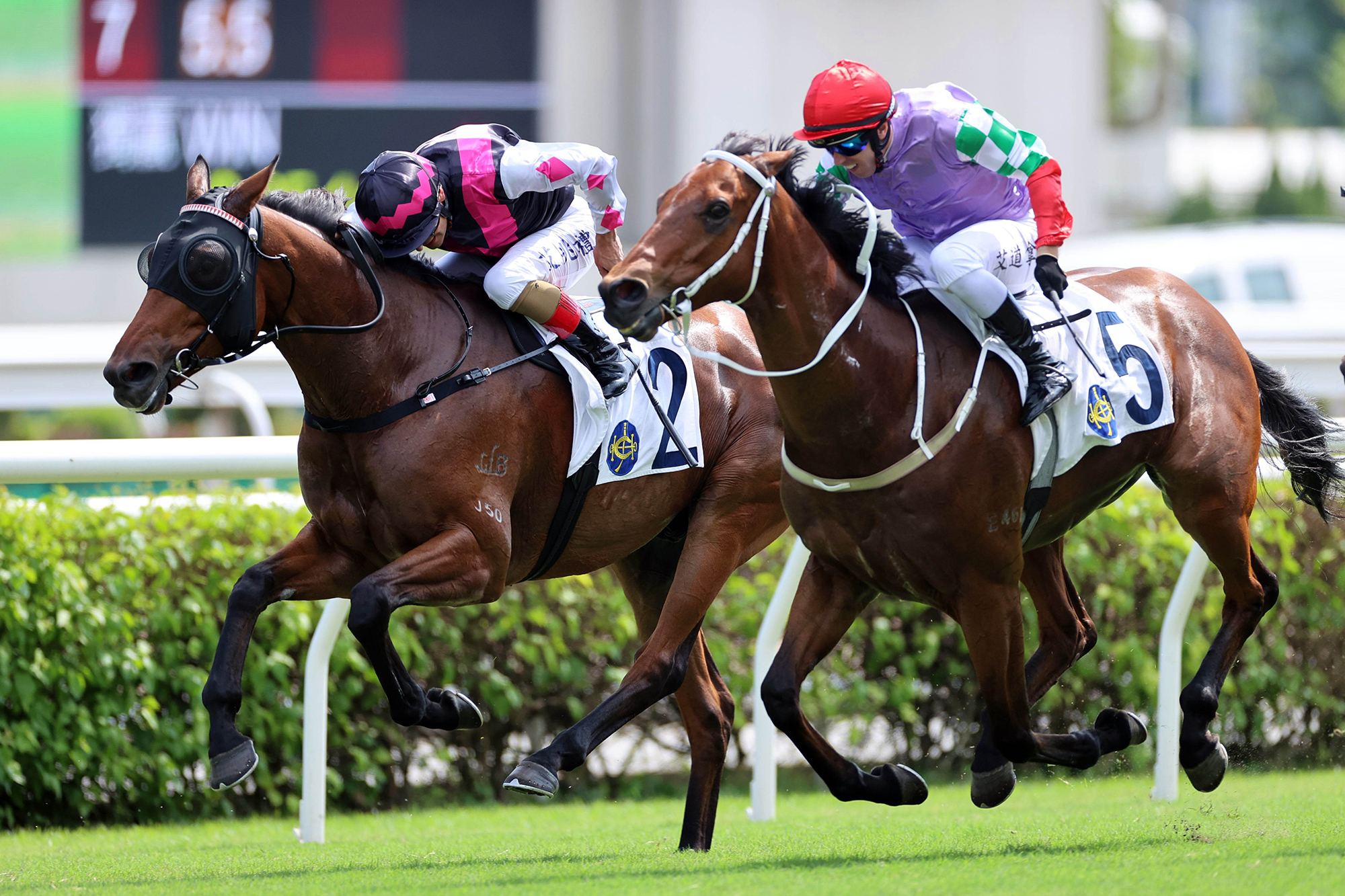 2024巴黎奧運中國香港隊盃圖輯 – 賽馬新聞 – 香港賽馬會