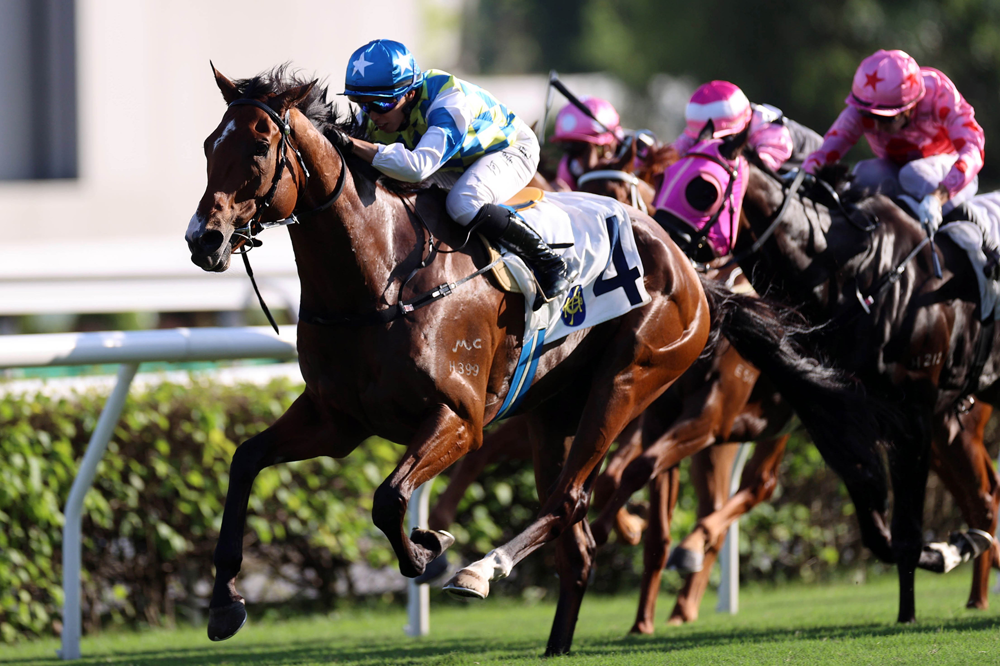 沙田錦標圖輯 – 賽馬新聞 – 香港賽馬會