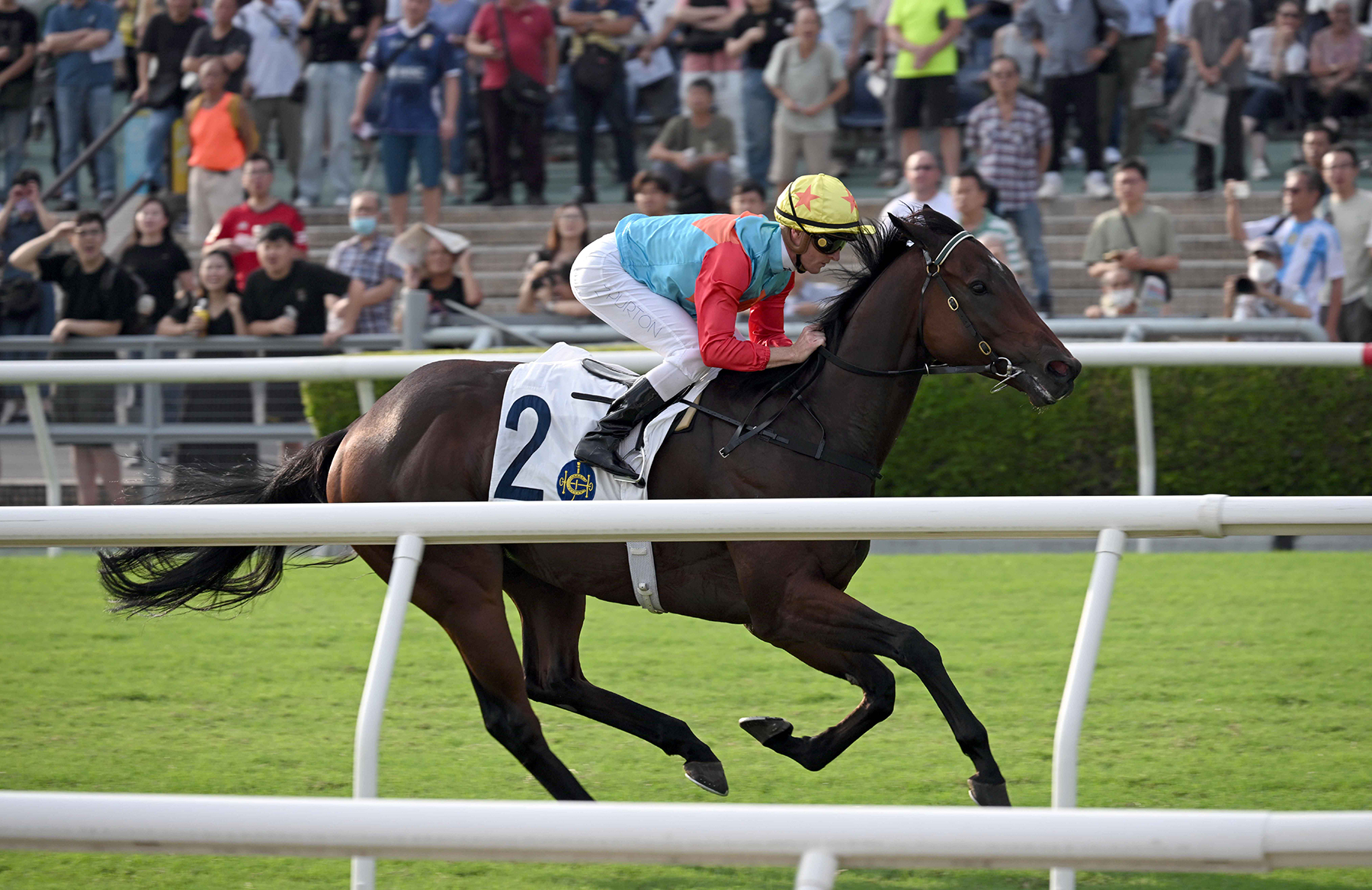 精英碗圖輯 – 賽馬新聞 – 香港賽馬會