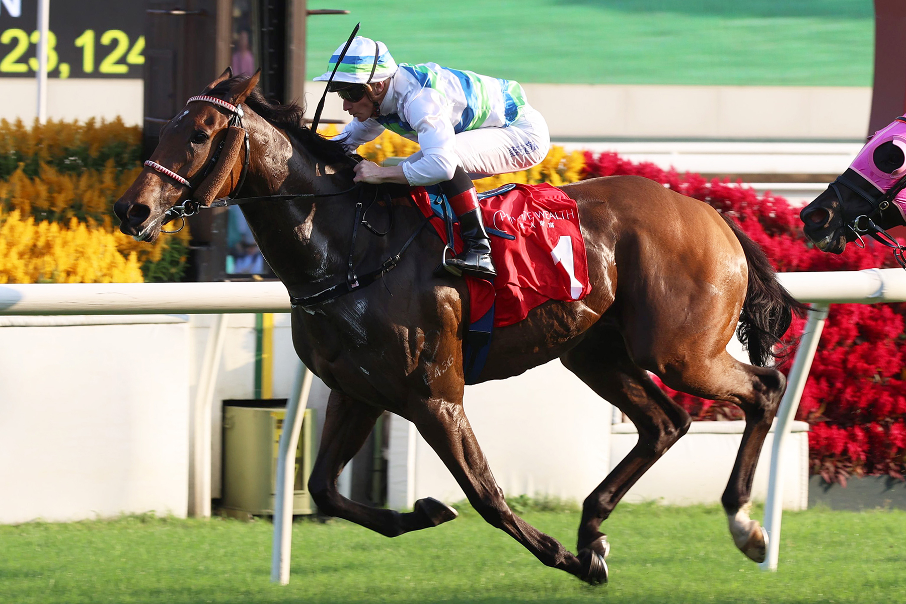 中銀香港「私人財富」馬會一哩錦標圖輯 – 賽馬新聞 – 香港賽馬會