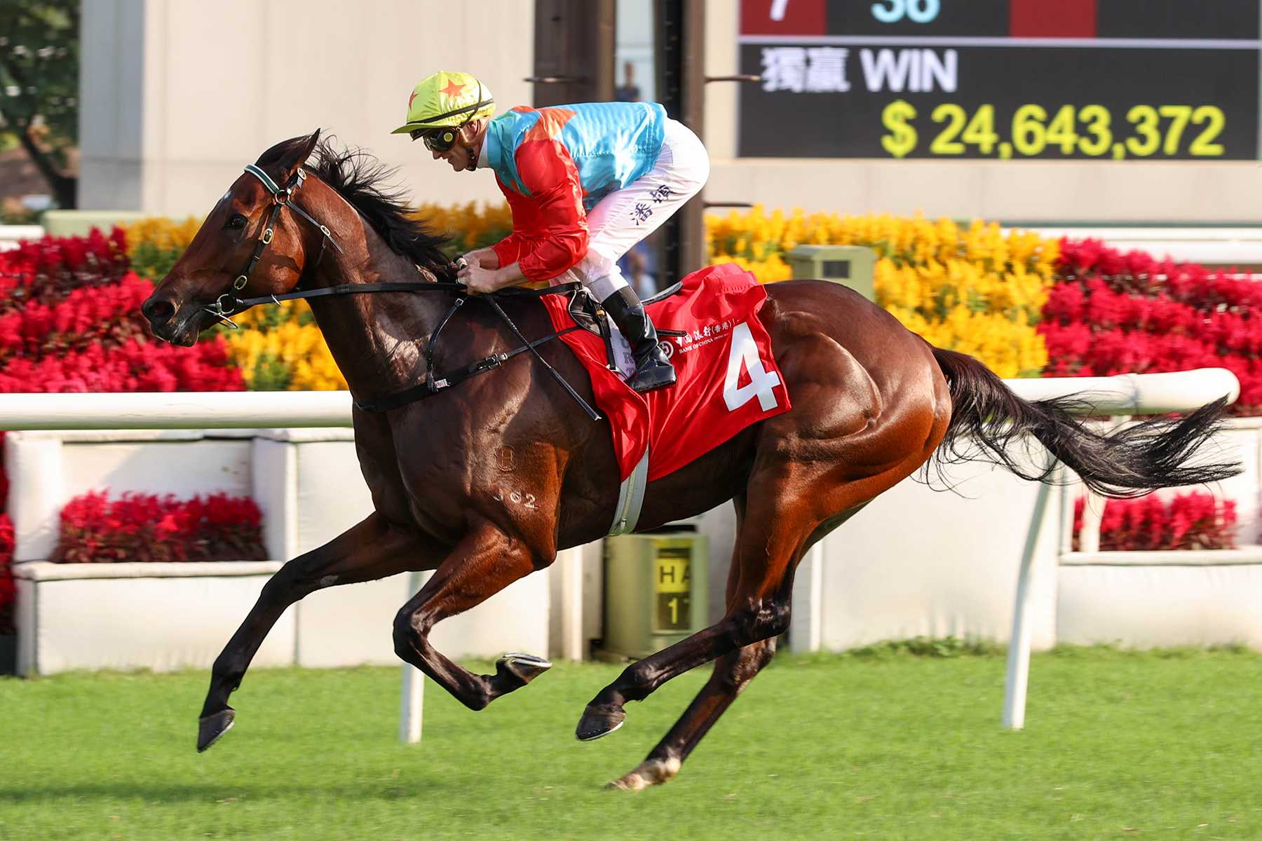 中銀香港私人銀行馬會短途錦標圖輯 – 賽馬新聞 – 香港賽馬會