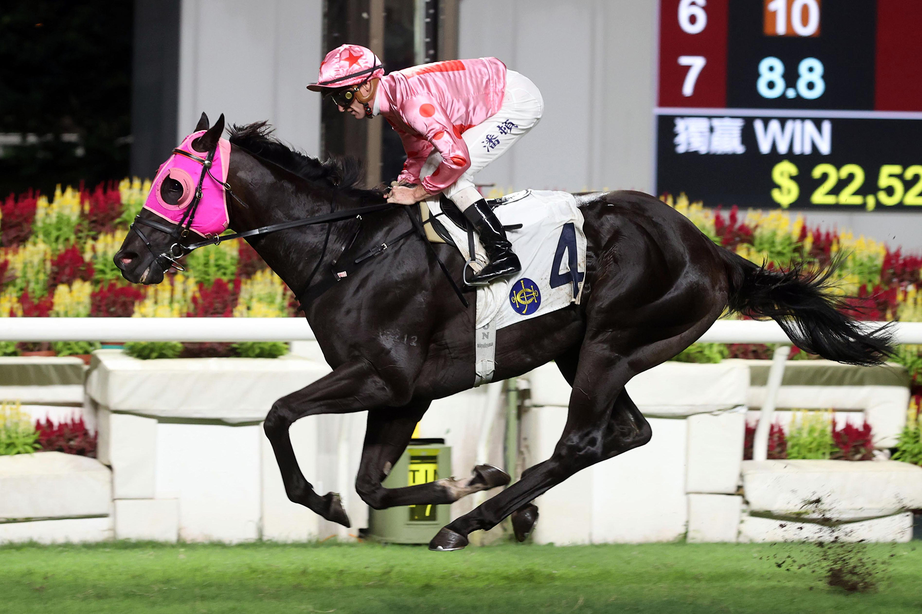 告東尼三強出擊盼第七度揚威莎莎婦女銀袋 – 賽馬新聞 – 香港賽馬會