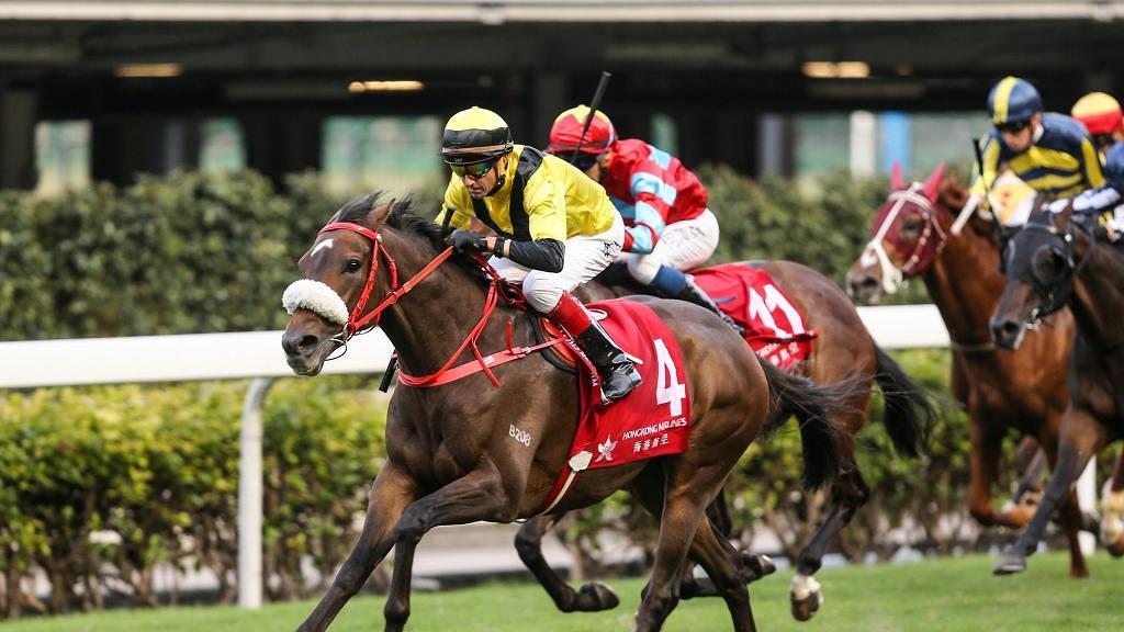 賭馬必勝法｜最準賽馬貼士網一覧，新賽季開始贏多D！獨家賽馬投注技巧&賭馬心得分享！