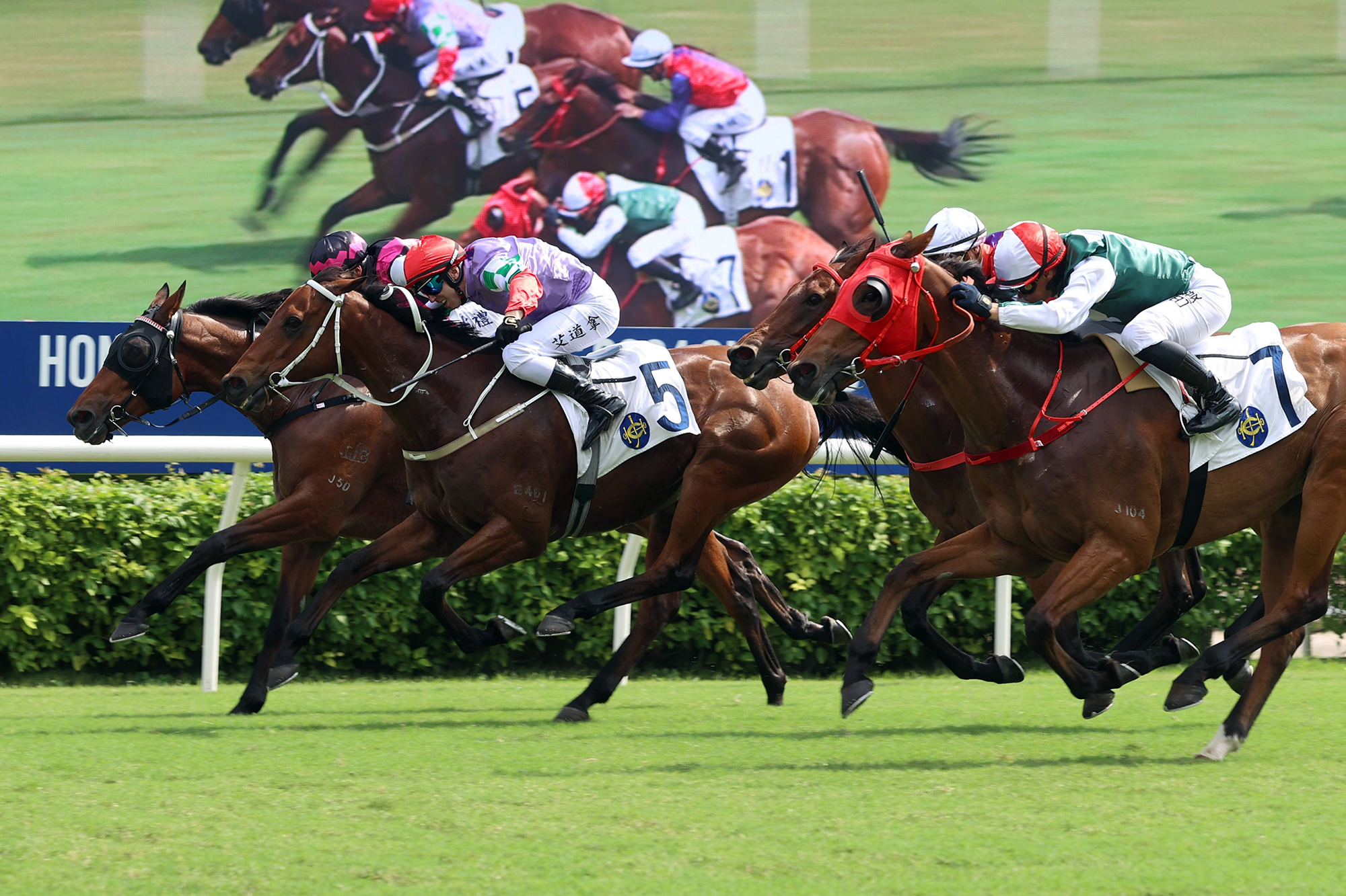 2024巴黎奧運中國香港隊盃圖輯 – 賽馬新聞 – 香港賽馬會