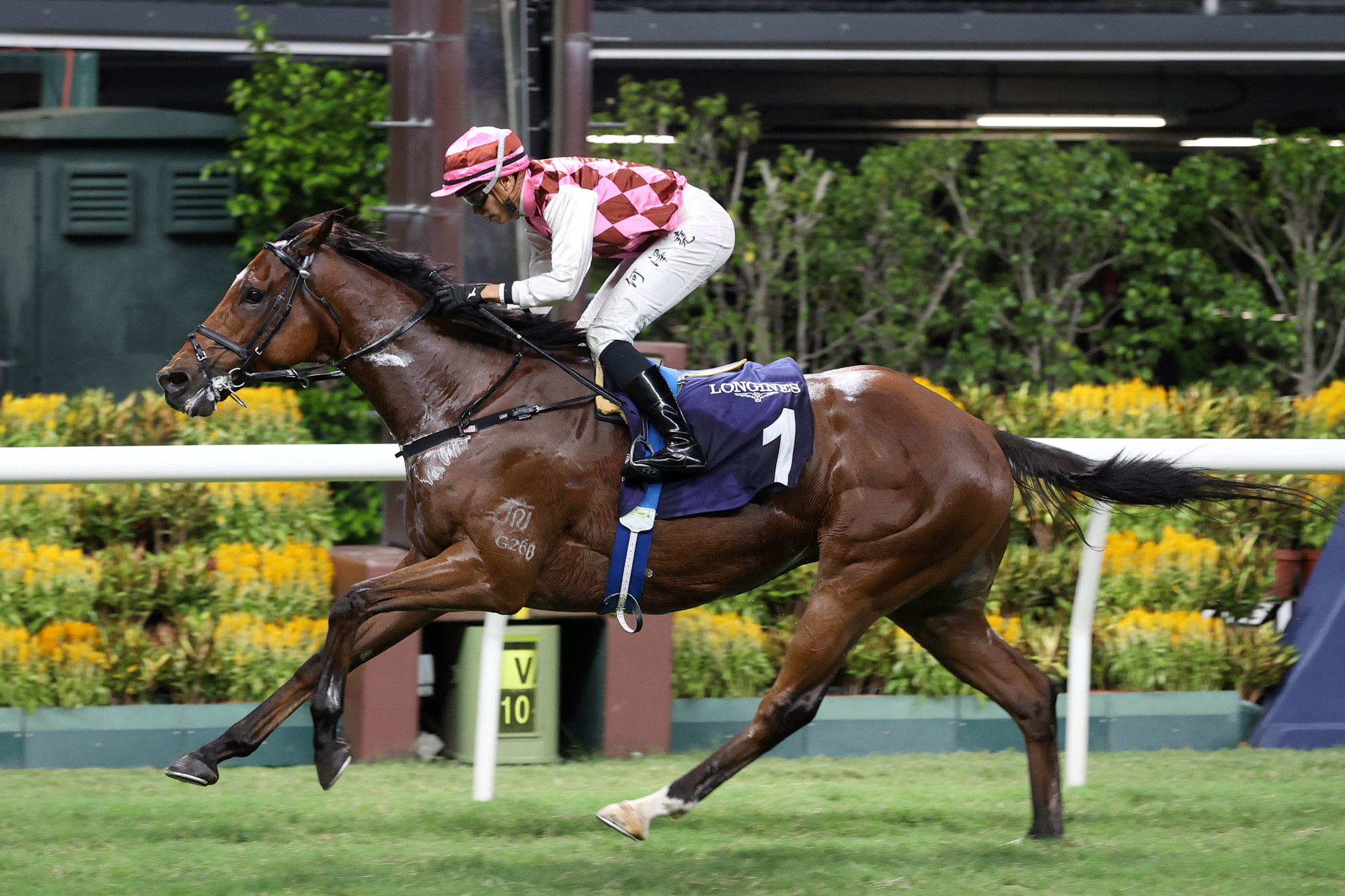 浪琴錦標賽圖輯 – 賽馬新聞 – 香港賽馬會