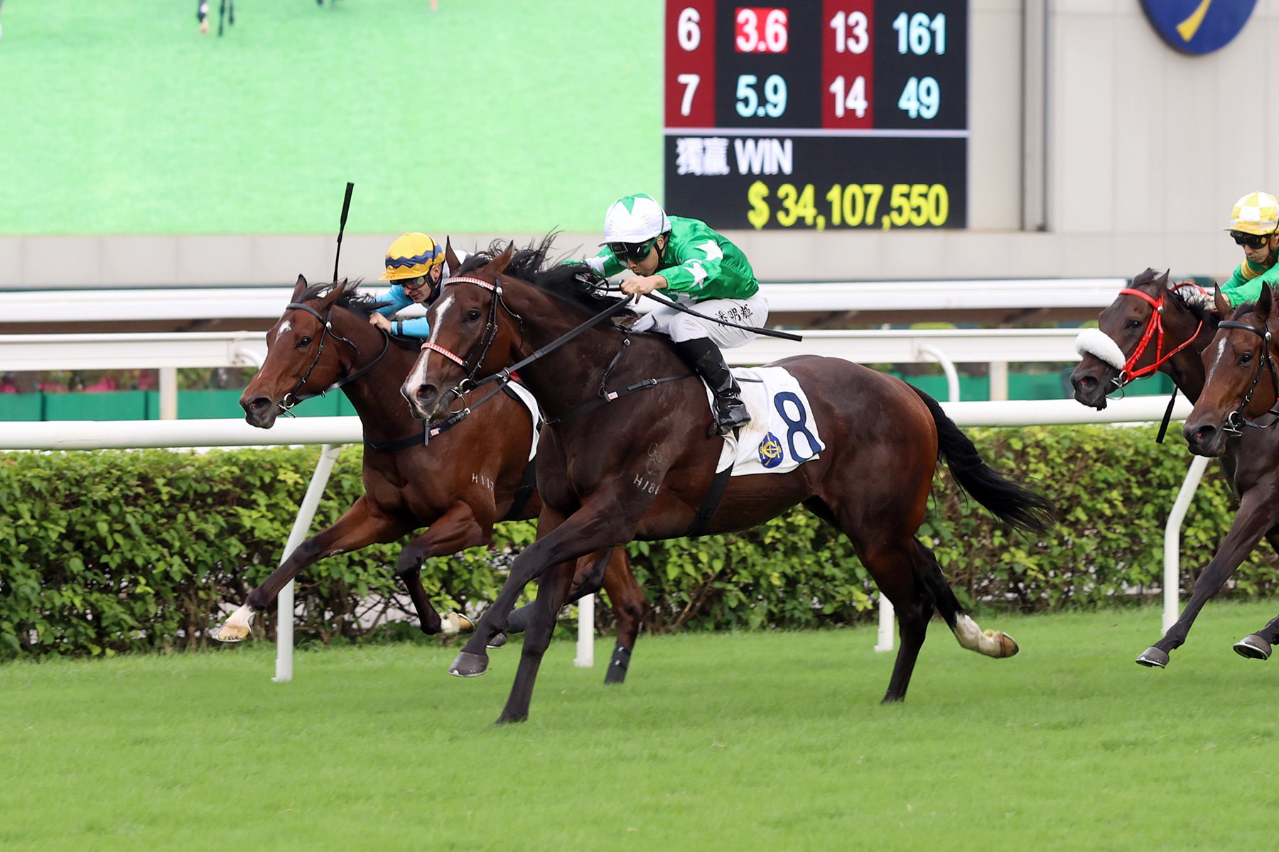 樂聲盃圖輯 – 賽馬新聞 – 香港賽馬會