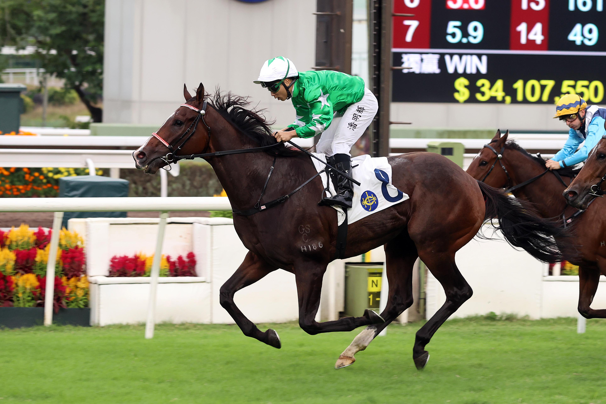 潘明輝樂聲盃報捷全日兩勝頭馬賀壽 – 賽馬新聞 – 香港賽馬會