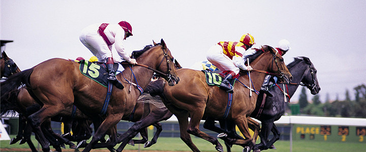 賭馬必勝法｜最準賽馬貼士網一覧，新賽季開始贏多D！獨家賽馬投注技巧&賭馬心得分享！