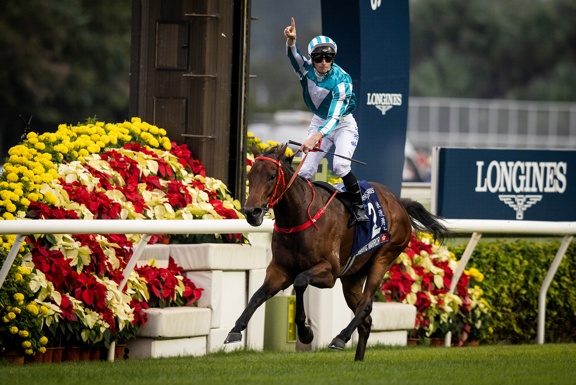 世界馬壇精英踴躍報爭浪琴香港國際賽事 – 賽馬新聞 – 香港賽馬會