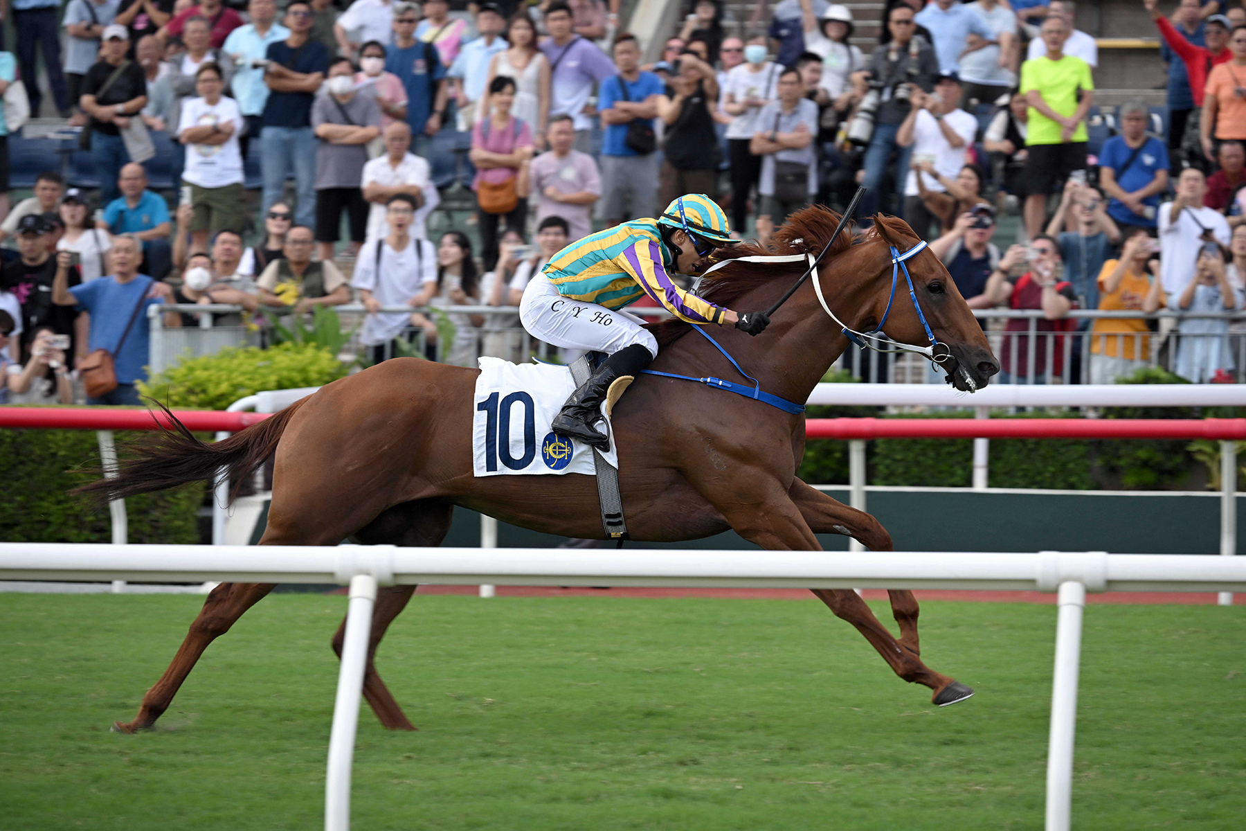 香港賽馬會140週年紀念盃圖輯 – 賽馬新聞 – 香港賽馬會