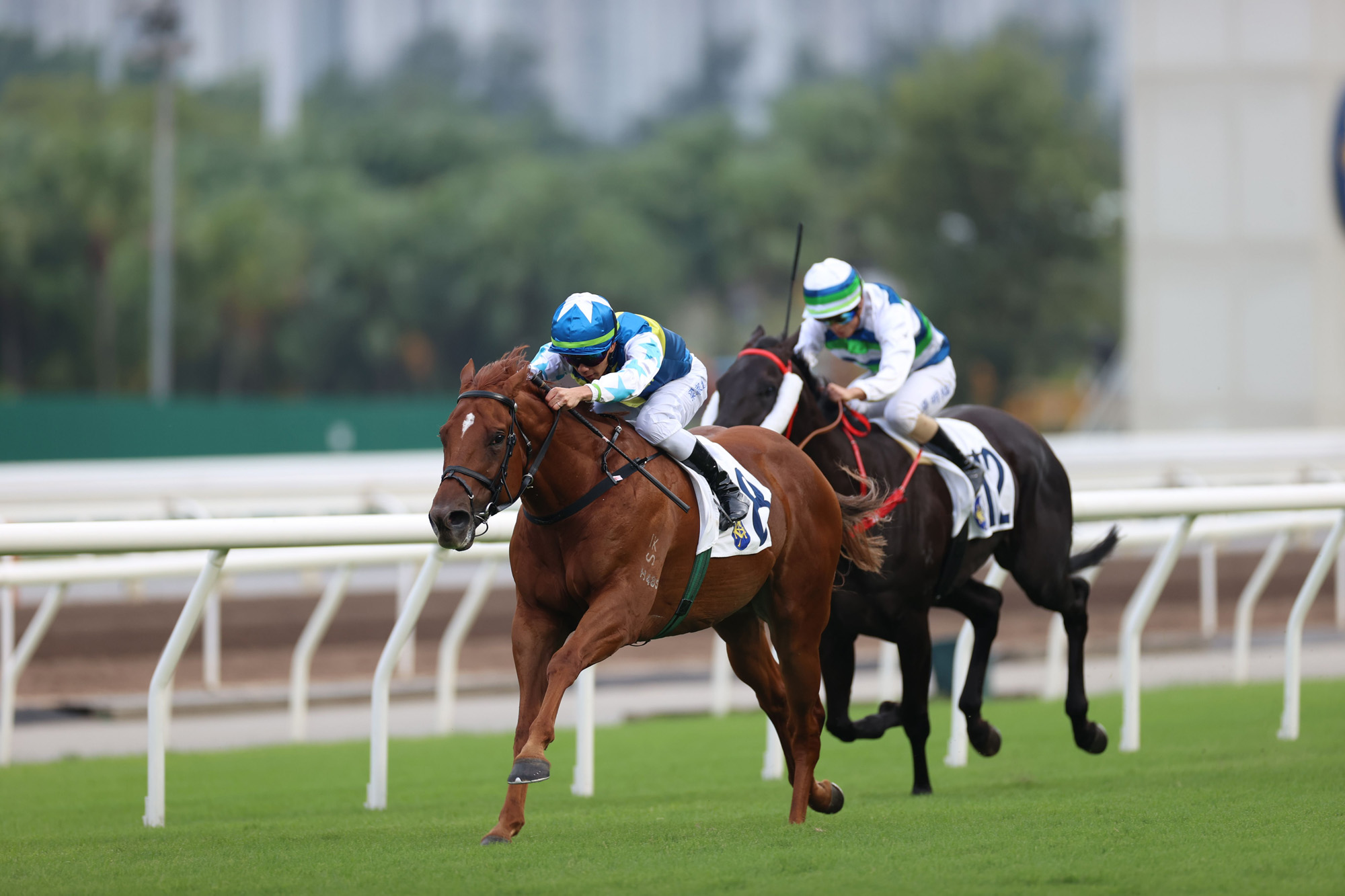 其士盃圖輯 – 賽馬新聞 – 香港賽馬會