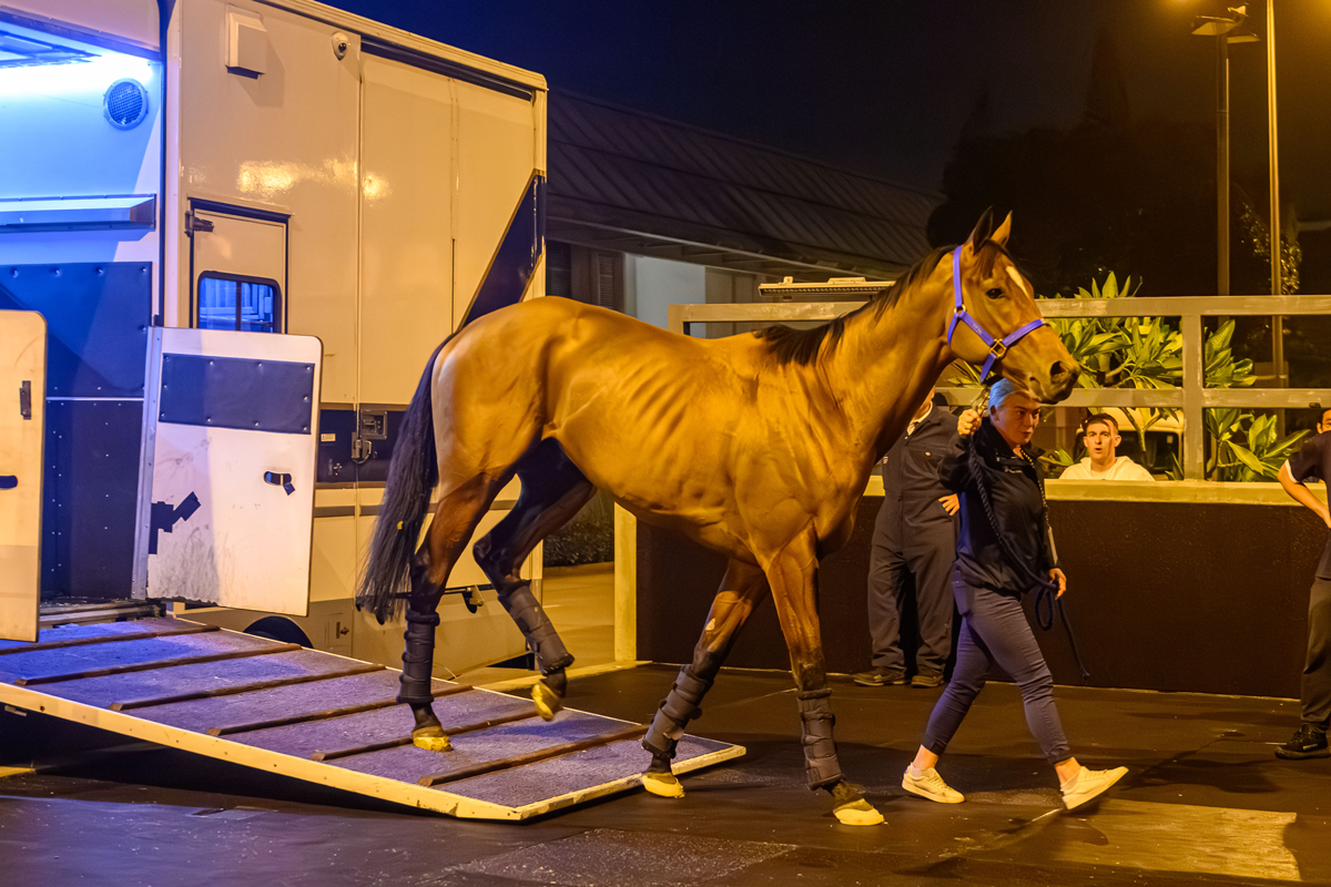 浪琴香港國際賽事歐洲代表抵港圖輯 – 賽馬新聞 – 香港賽馬會