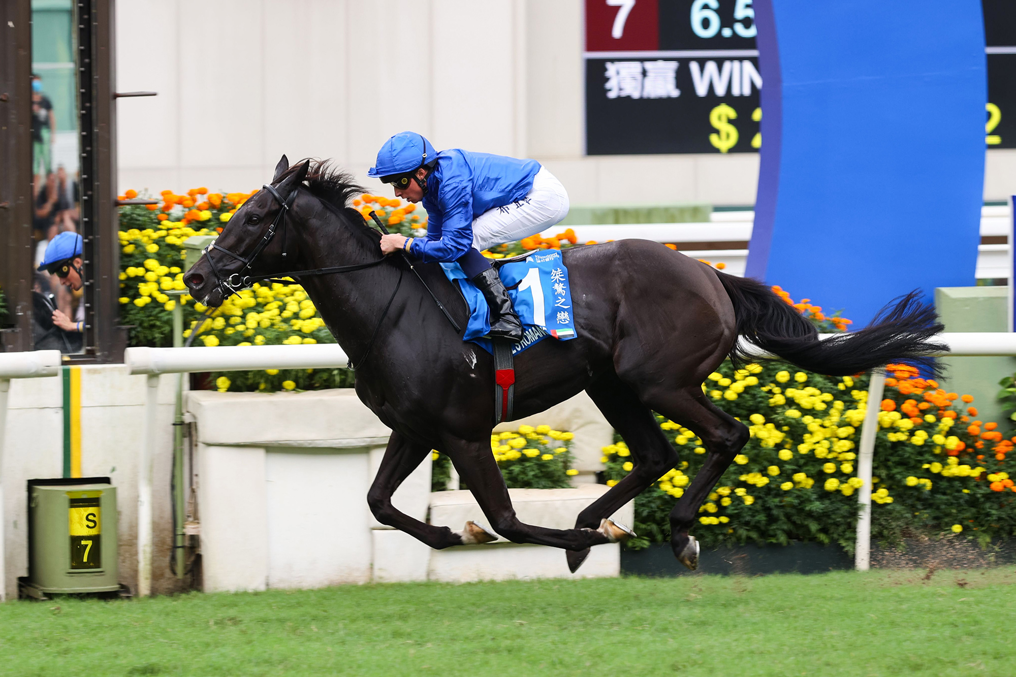 世界馬壇精英踴躍報爭浪琴香港國際賽事 – 賽馬新聞 – 香港賽馬會