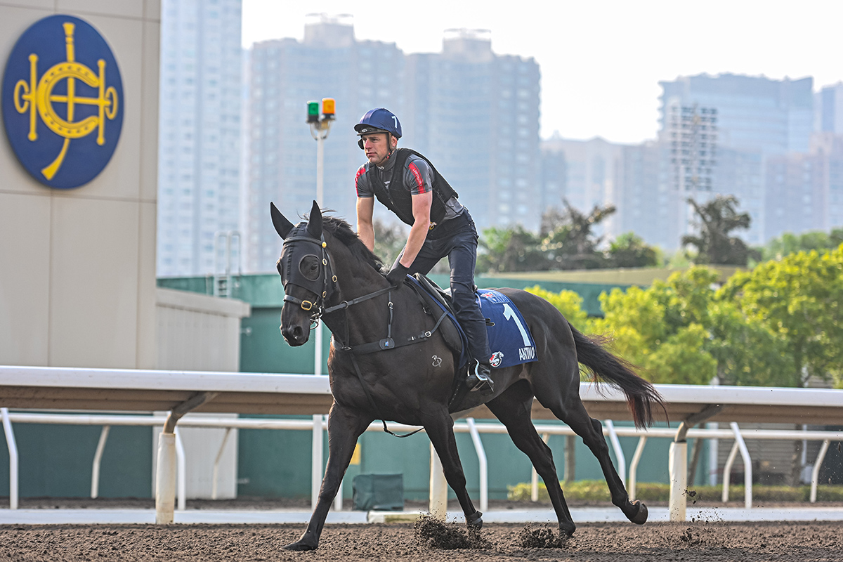 浪琴香港國際賽事週五晨操圖輯