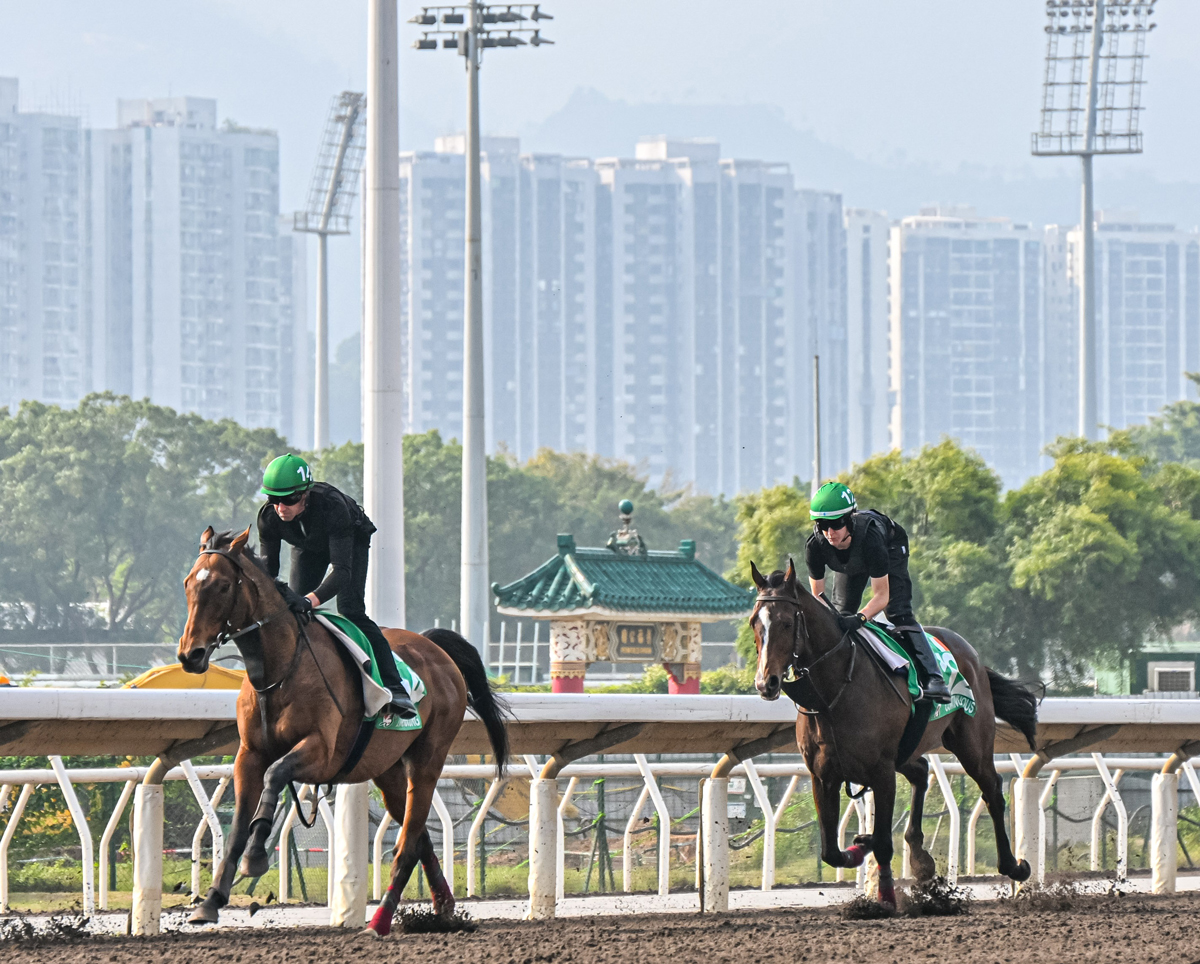 浪琴香港瓶岳伯仁悉心部署冀助「盧森堡」光榮退役