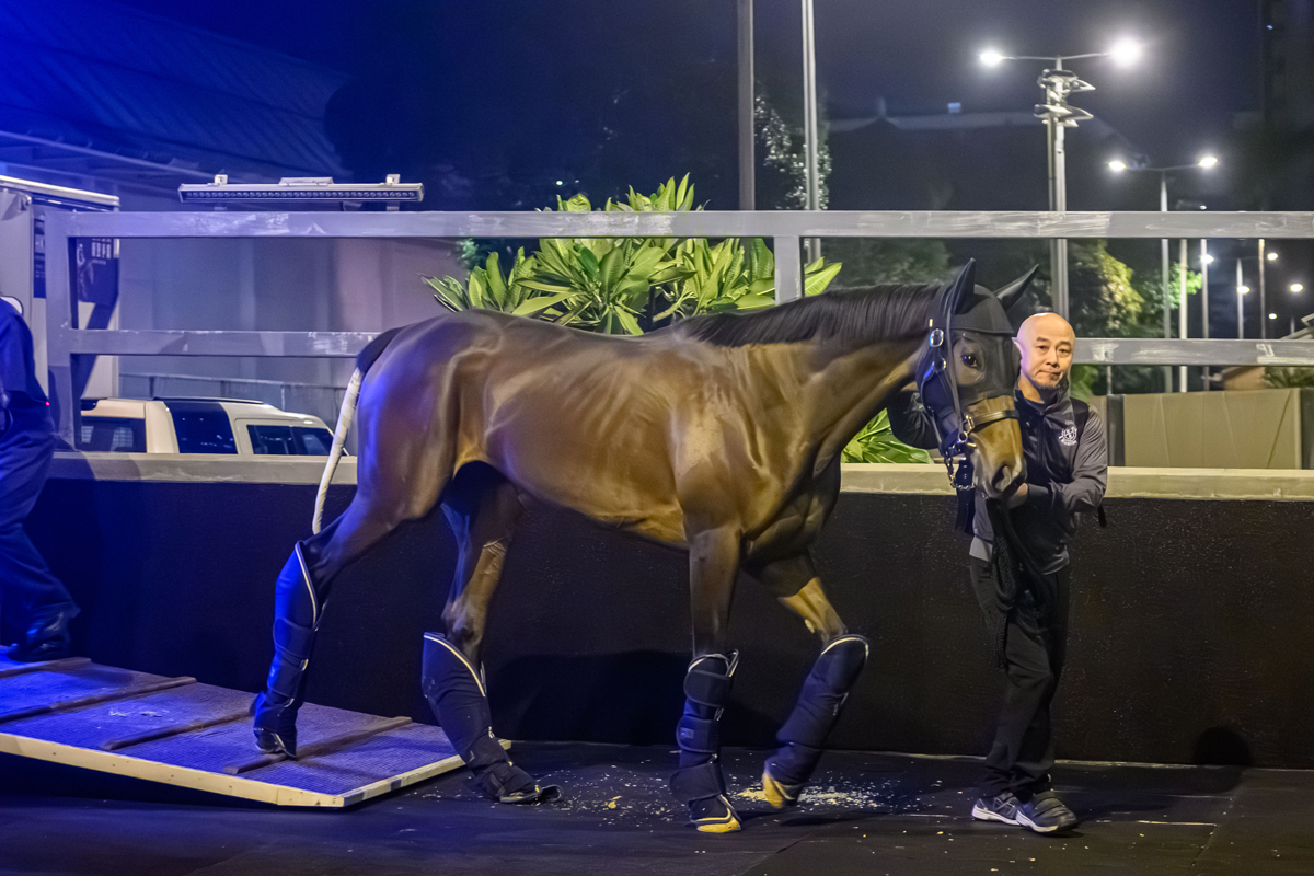 浪琴香港國際賽事日本代表抵港圖輯