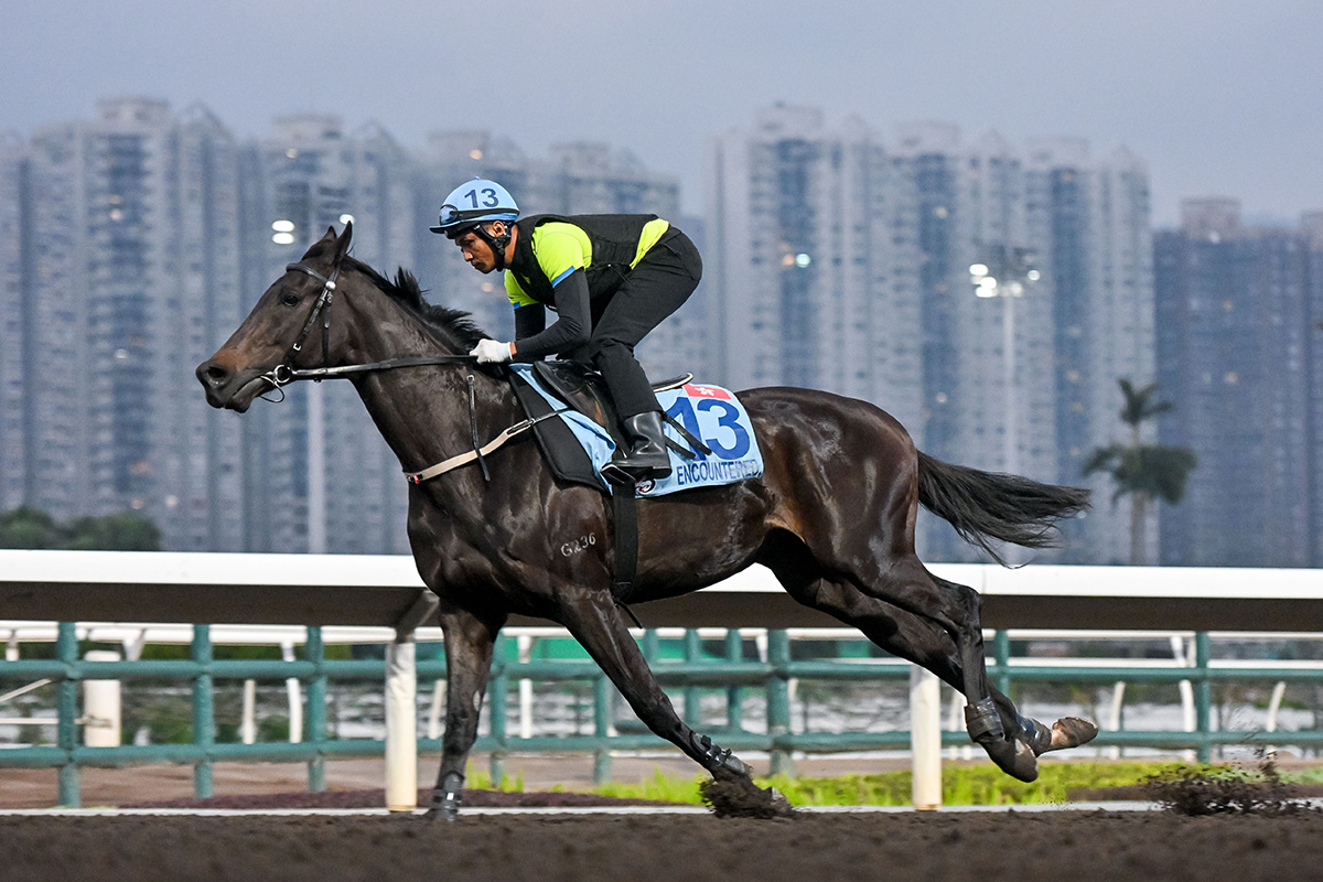 浪琴香港國際賽事週五晨操圖輯