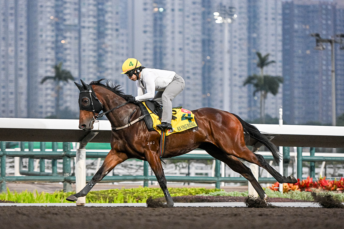 浪琴香港國際賽事週五晨操圖輯