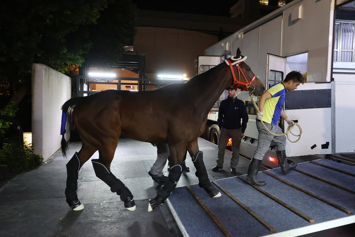 「放蕩強人」出發前赴杜拜參賽 – 跑馬新聞風而動 – 香港跑馬會