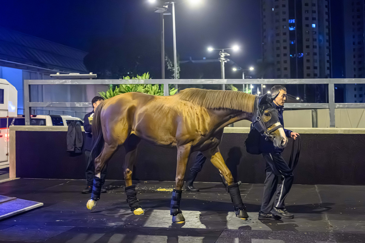 浪琴香港國際賽事日本代表抵港圖輯