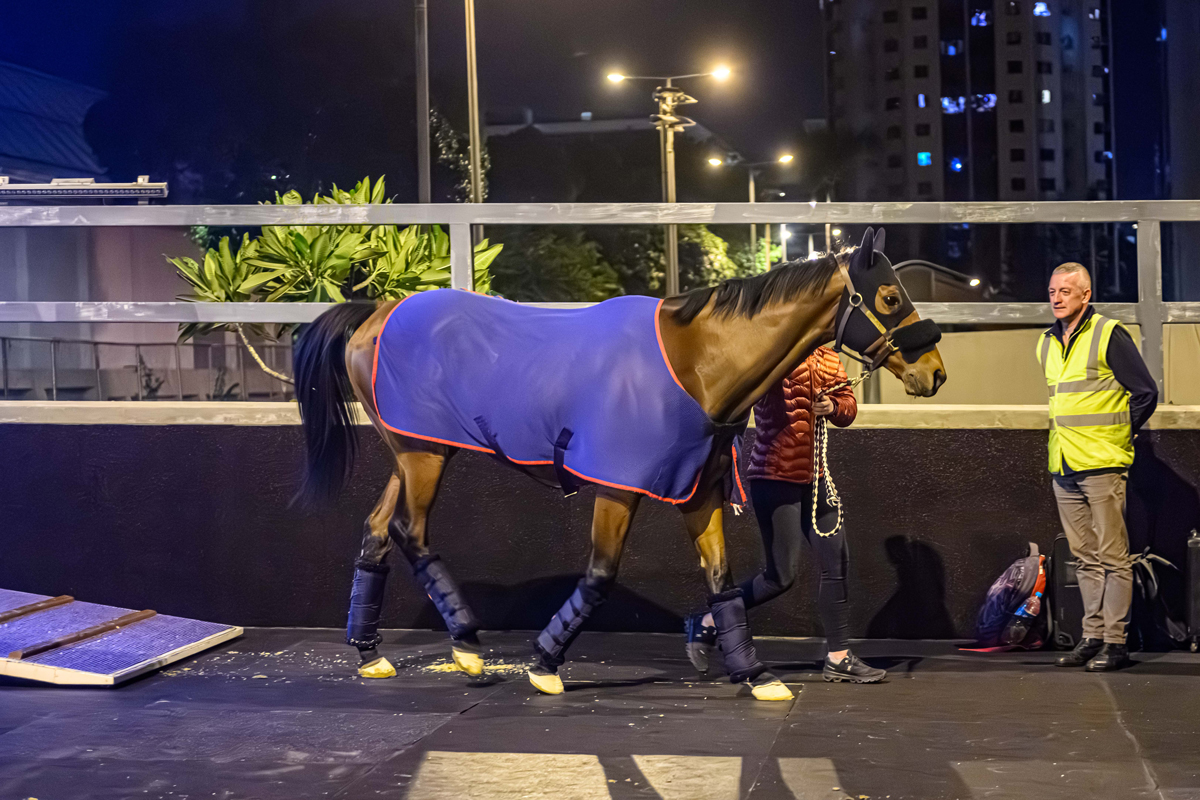 浪琴香港國際賽事英國代表抵港圖輯