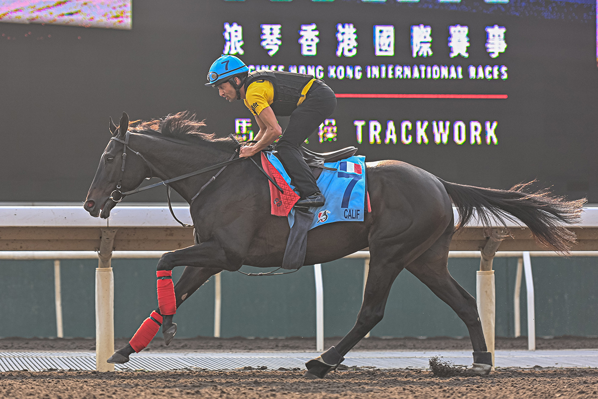 浪琴香港國際賽事週五晨操圖輯