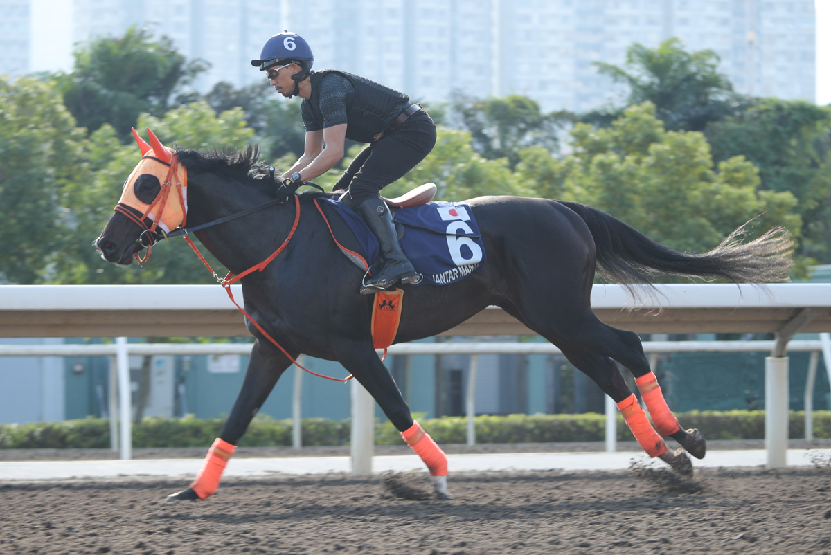 浪琴香港國際賽事週二晨操圖輯