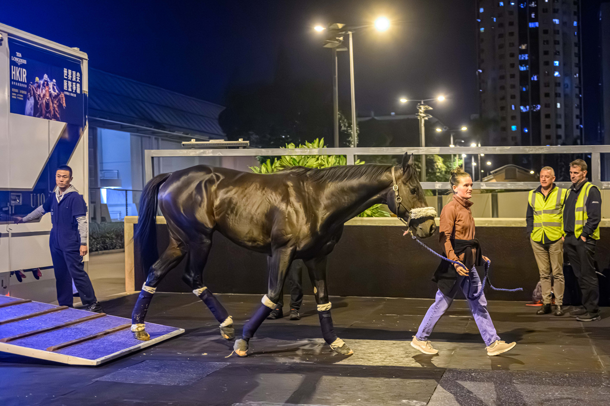 浪琴香港國際賽事英國代表抵港圖輯