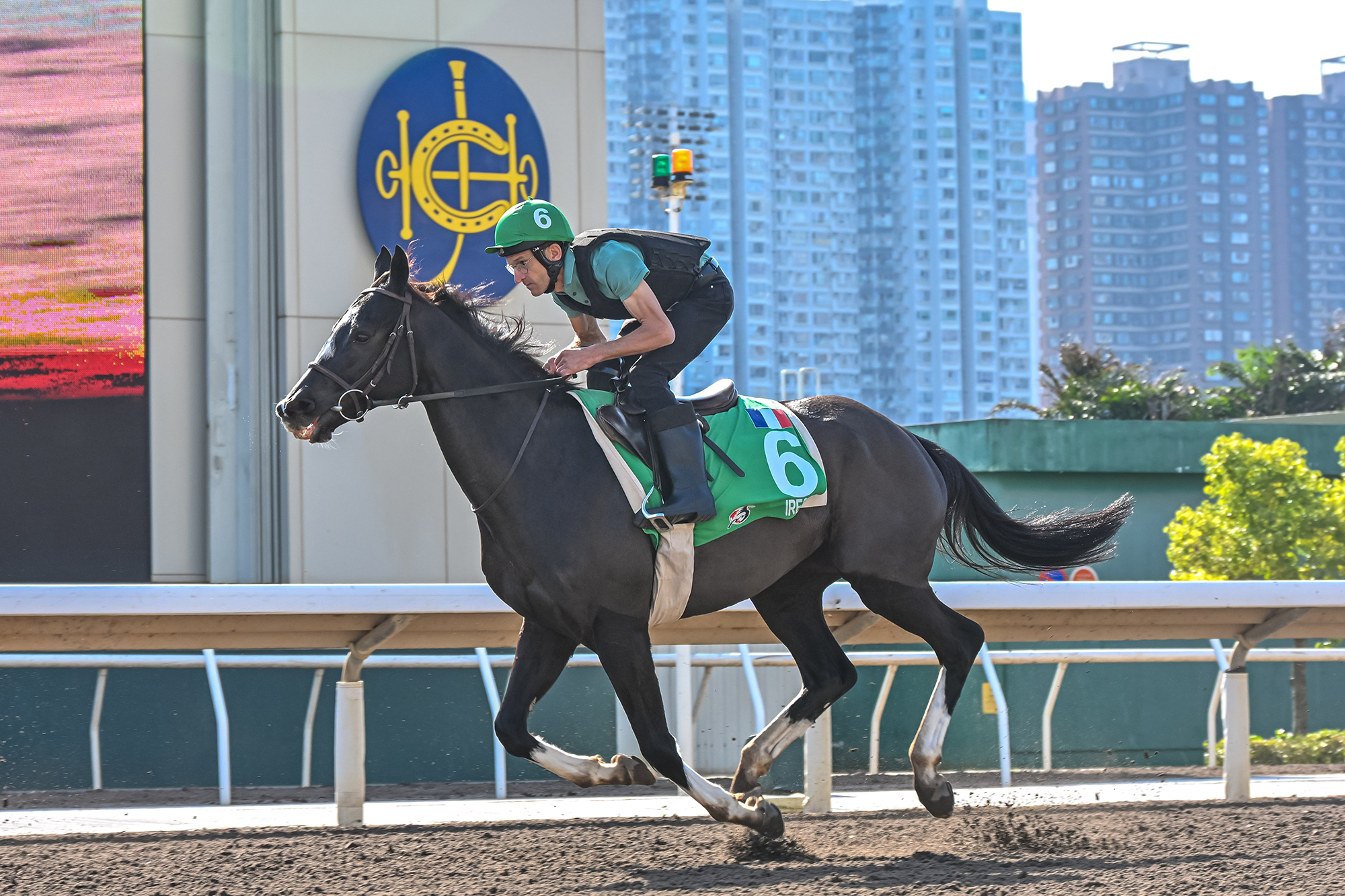 「不戰而勝」做足準備第一檔起步力戰浪琴香港瓶眾強