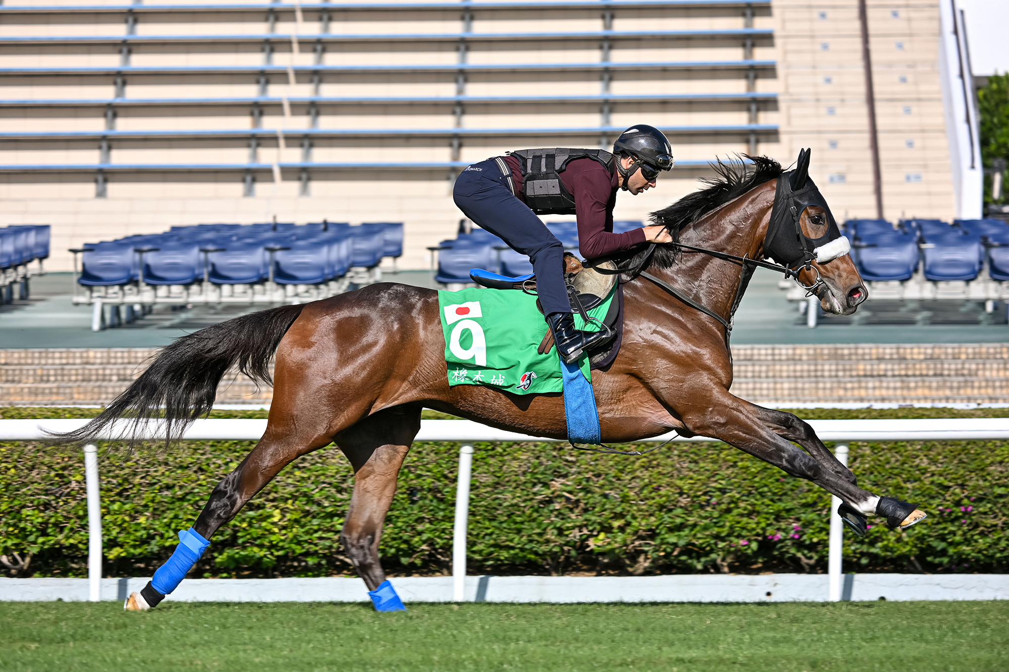 「不戰而勝」做足準備第一檔起步力戰浪琴香港瓶眾強