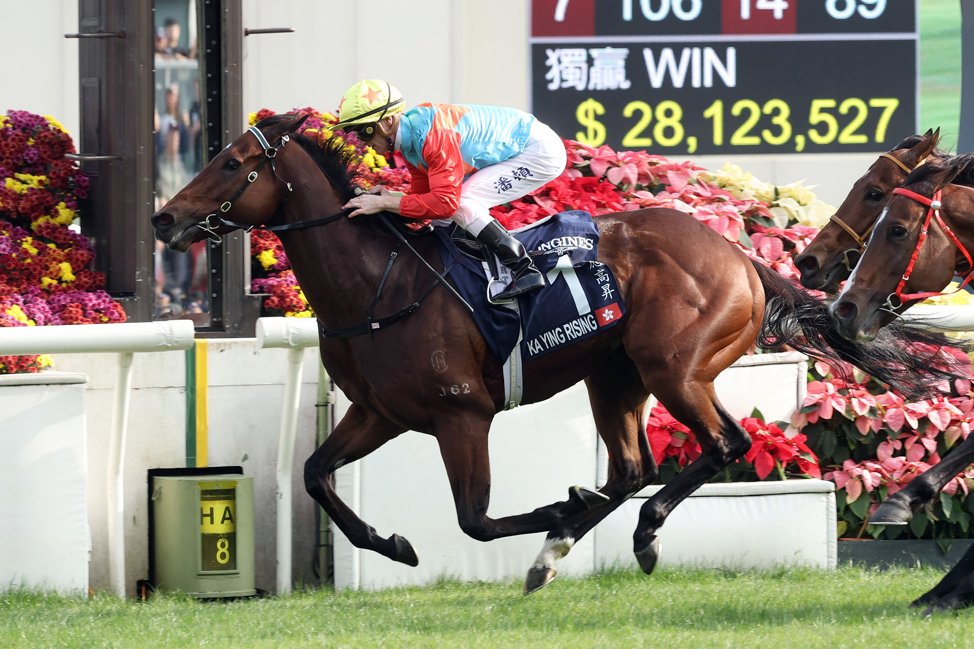 浪琴香港短途錦標圖輯