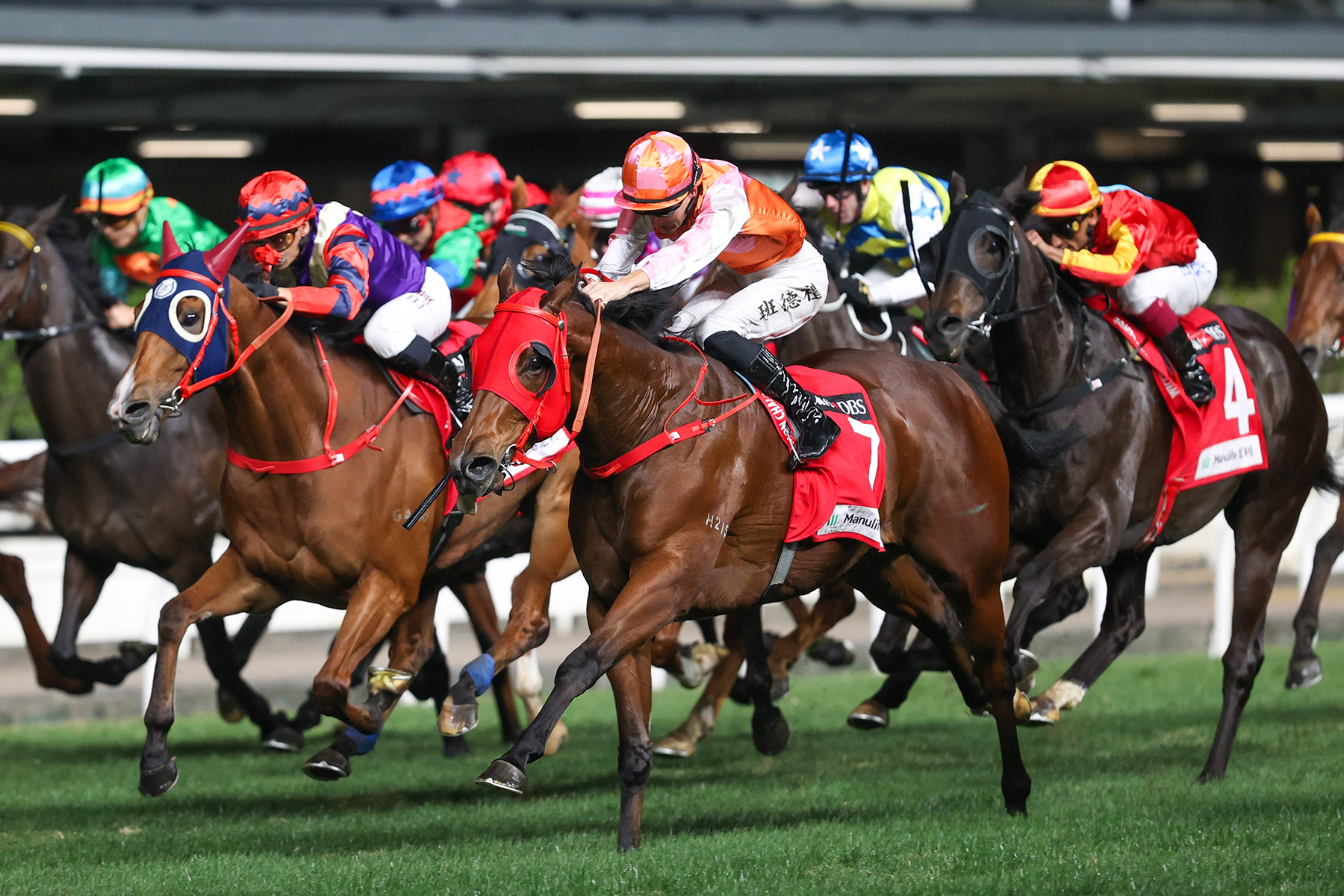 一月盃圖輯 – 跑馬新名滿天下 – 香港跑馬會