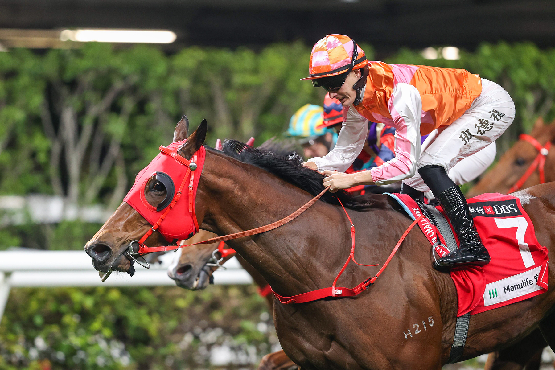 一月盃圖輯 – 跑馬新名滿天下 – 香港跑馬會