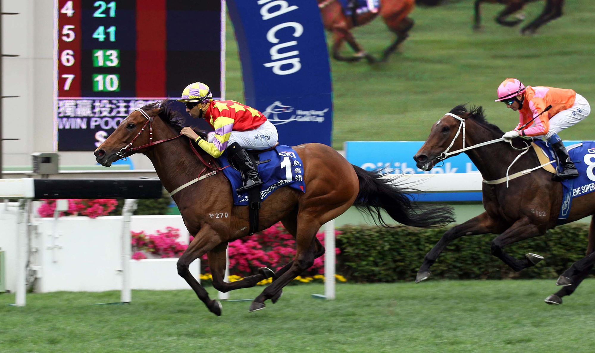 前香港馬王「威我頓」在澳洲離世 – 跑馬新聞風而起 – 香港跑馬會