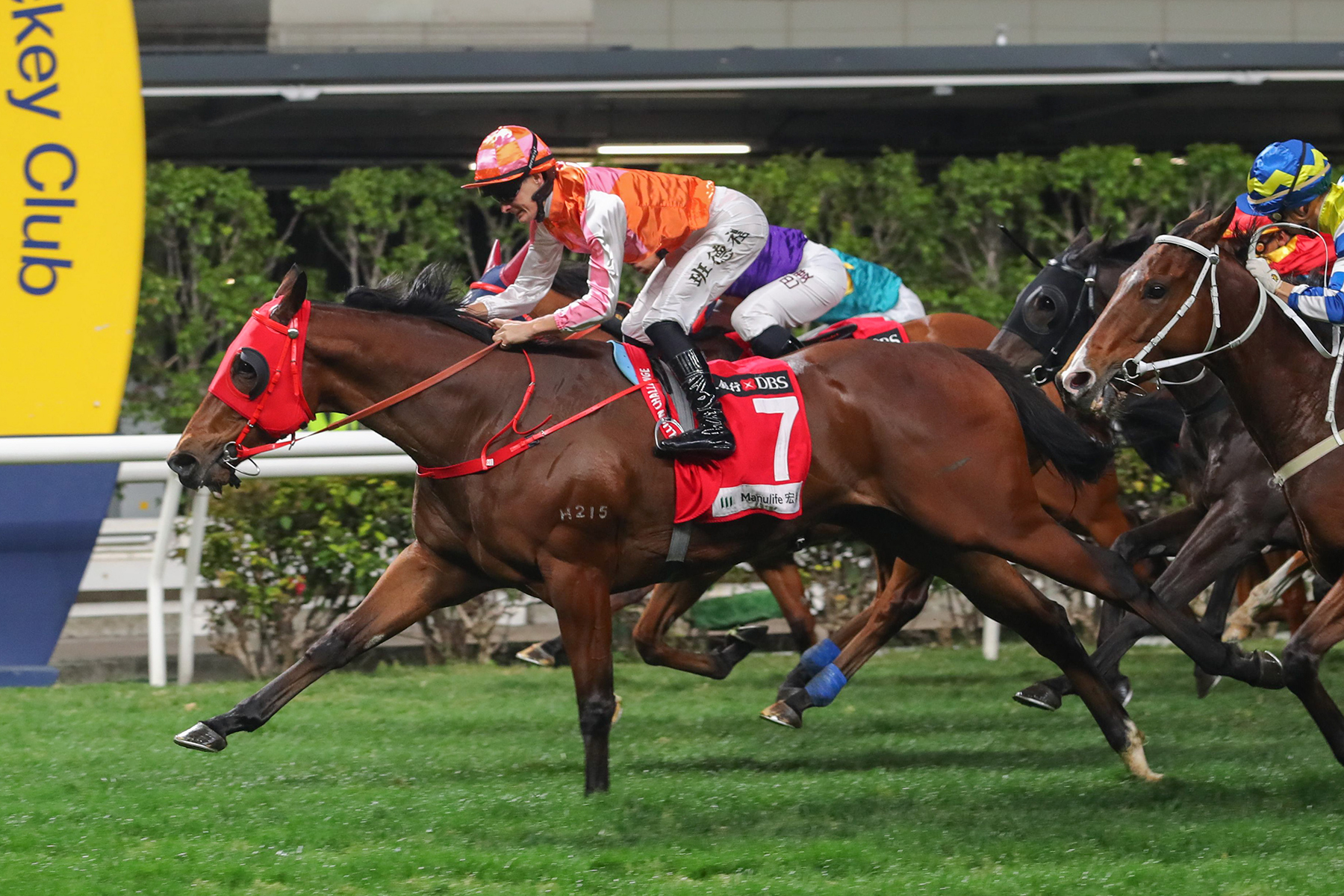 一月盃圖輯 – 跑馬新名滿天下 – 香港跑馬會